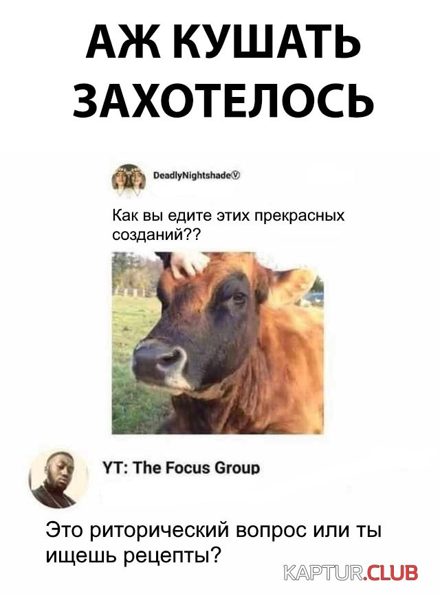 kartinki_16.jpg | Рено Каптур Клуб Россия | Форум KAPTUR.SU