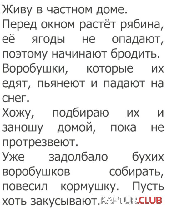 kartinki_17.jpg | Рено Каптур Клуб Россия | Форум KAPTUR.SU