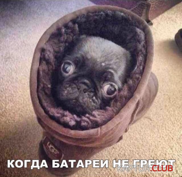kartinki_18.jpg | Рено Каптур Клуб Россия | Форум KAPTUR.SU