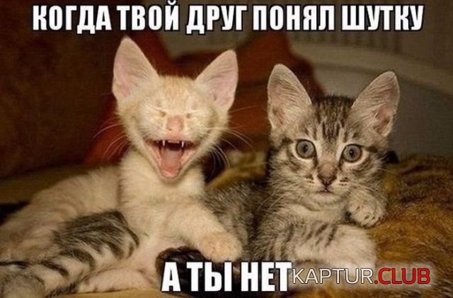 kartinki_19.jpg | Рено Каптур Клуб Россия | Форум KAPTUR.SU