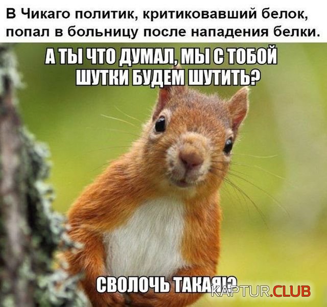 kartinki_20.jpg | Рено Каптур Клуб Россия | Форум KAPTUR.SU