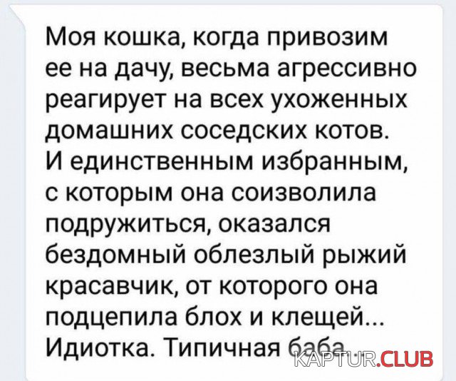 kartinki_21.jpg | Рено Каптур Клуб Россия | Форум KAPTUR.SU