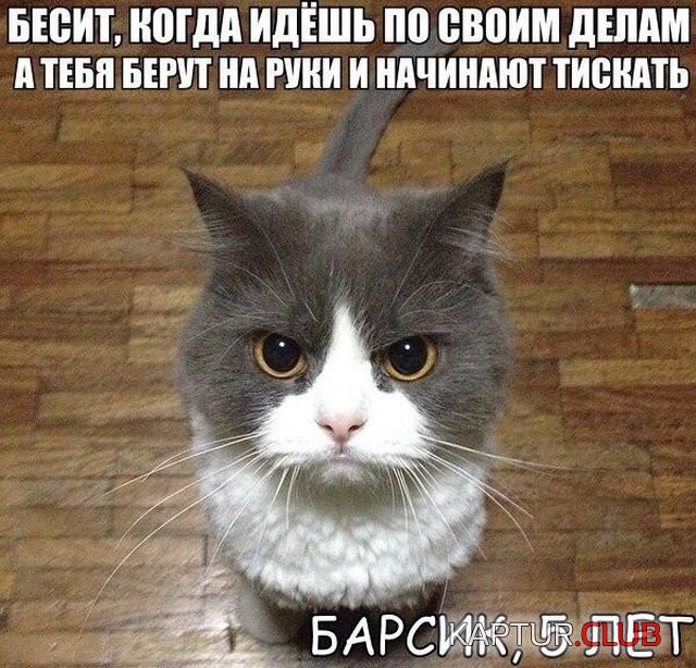 kartinki_34.jpg | Рено Каптур Клуб Россия | Форум KAPTUR.SU
