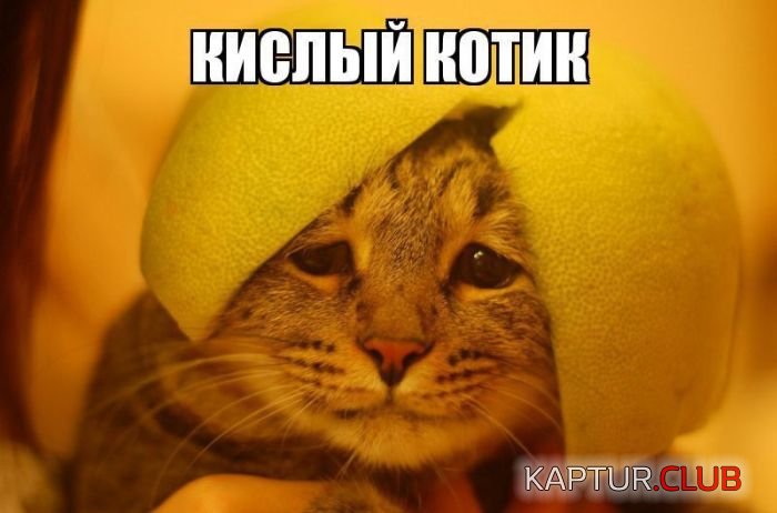 kartinki_s_tekstom_09.jpg | Рено Каптур Клуб Россия | Форум KAPTUR.SU
