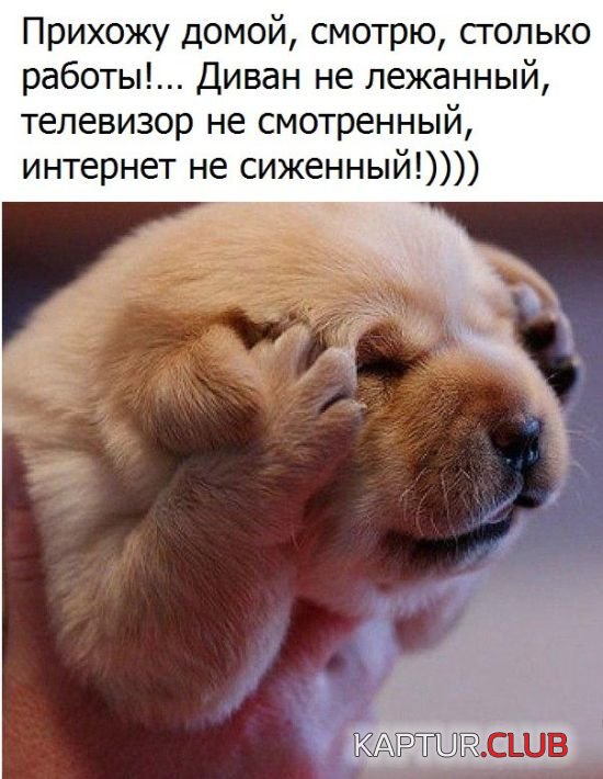 kartinki_s_tekstom_12.jpg | Рено Каптур Клуб Россия | Форум KAPTUR.SU