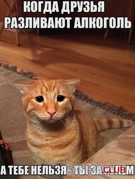 kartinki_s_tekstom_14.jpg | Рено Каптур Клуб Россия | Форум KAPTUR.SU