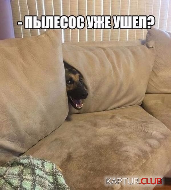 kartinki_s_tekstom_16.jpg | Рено Каптур Клуб Россия | Форум KAPTUR.SU