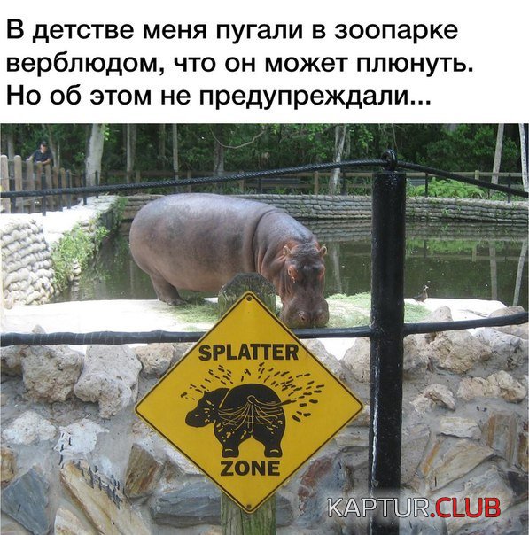 kartinky-prokoly7.jpg | Рено Каптур Клуб Россия | Форум KAPTUR.SU