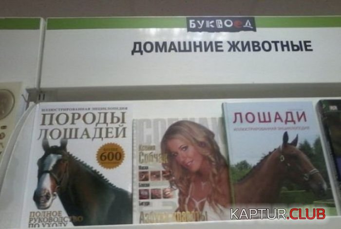 knijnie_prikoli_18.jpg | Рено Каптур Клуб Россия | Форум KAPTUR.SU