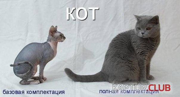 комплектация.jpg | Рено Каптур Клуб Россия | Форум KAPTUR.SU