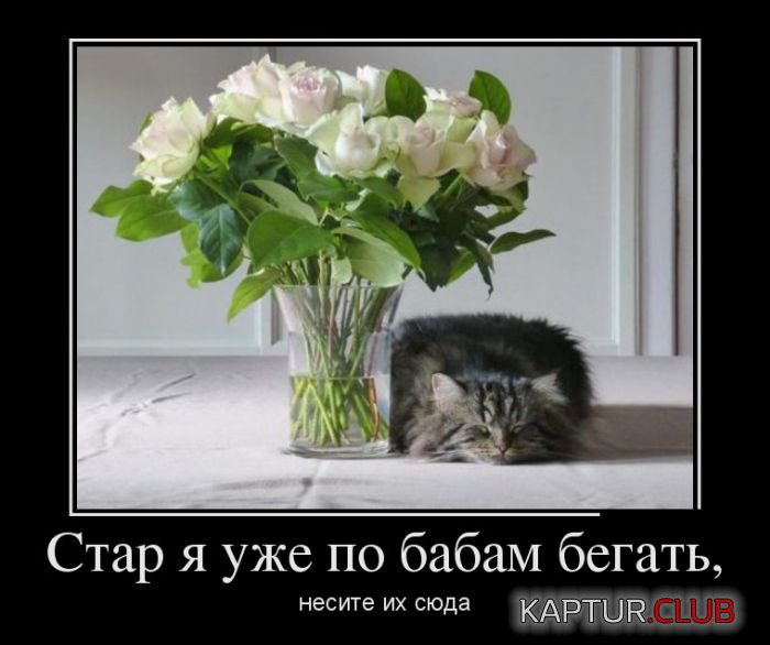 lb1_iulw8sc.jpg | Рено Каптур Клуб Россия | Форум KAPTUR.SU