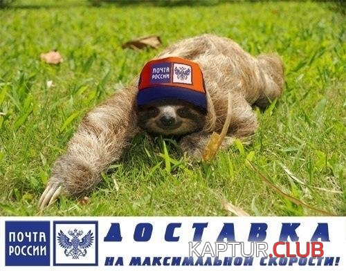 lenivec.jpg | Рено Каптур Клуб Россия | Форум KAPTUR.SU