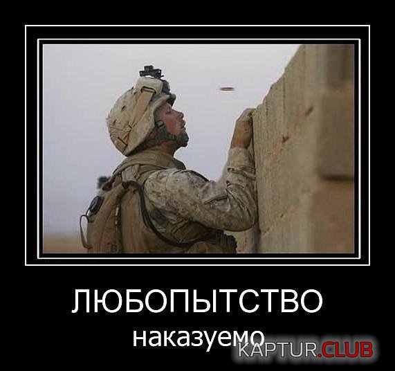 Любопытство наказуемо.jpg | Рено Каптур Клуб Россия | Форум KAPTUR.SU