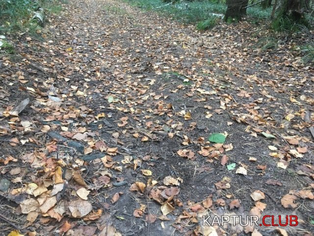 lovushka_02.jpg | Рено Каптур Клуб Россия | Форум KAPTUR.SU