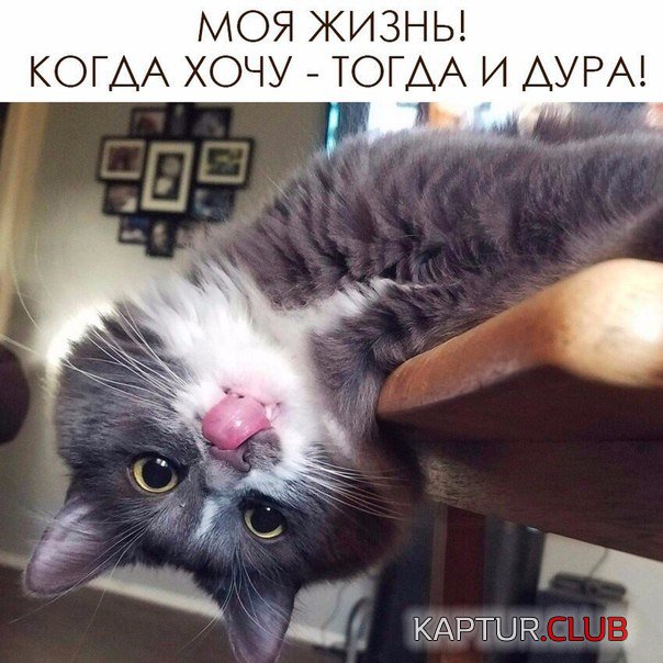 lpWtOzUsiZI.jpg | Рено Каптур Клуб Россия | Форум KAPTUR.SU