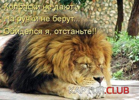 lY40xtliPBU.jpg | Рено Каптур Клуб Россия | Форум KAPTUR.SU