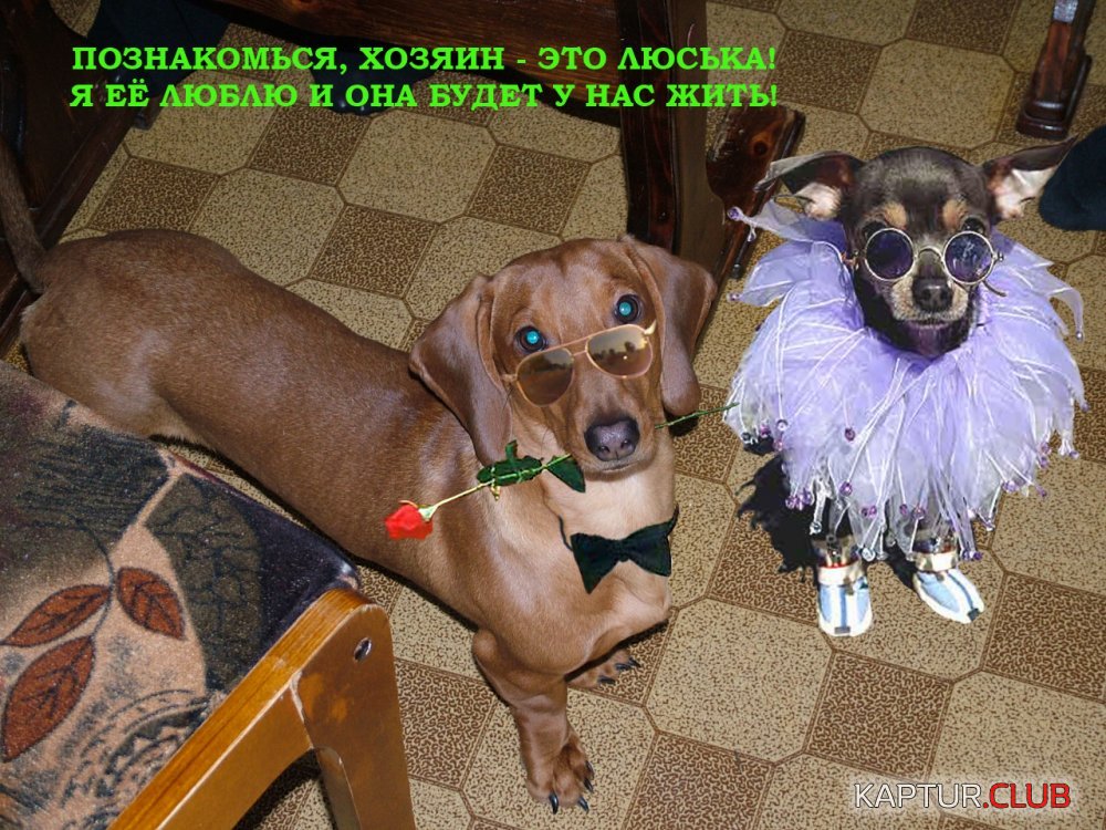 МАКС С ЛЮСЬКОЙ.jpg | Рено Каптур Клуб Россия | Форум KAPTUR.SU