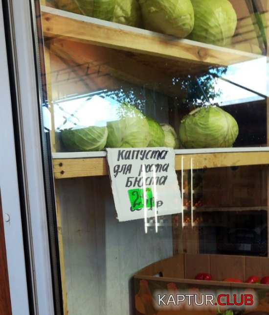 marketologi_03.jpg | Рено Каптур Клуб Россия | Форум KAPTUR.SU
