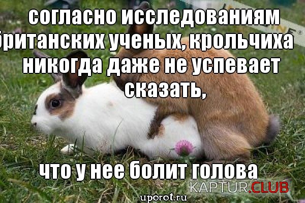 mem_a756dbcfd7d7709f402fc3d3c754f1103.jpg | Рено Каптур Клуб Россия | Форум KAPTUR.SU