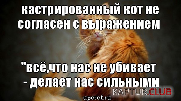 mem_c7dabbe56e1a3dce35c01d587638d21f2.jpg | Рено Каптур Клуб Россия | Форум KAPTUR.SU