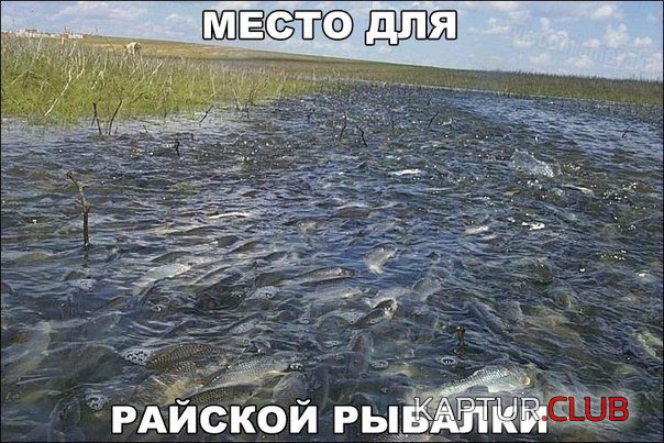 mesto-dlya-rajskoj-rybalki-open.jpg | Рено Каптур Клуб Россия | Форум KAPTUR.SU