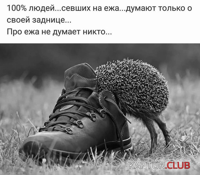 misli_04.jpg | Рено Каптур Клуб Россия | Форум KAPTUR.SU
