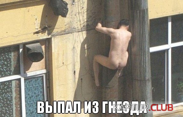 Mk2nqlfa-Os.jpg | Рено Каптур Клуб Россия | Форум KAPTUR.SU