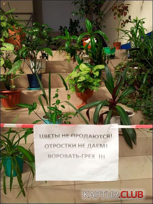 narodniy_kreativ_08.jpg | Рено Каптур Клуб Россия | Форум KAPTUR.SU