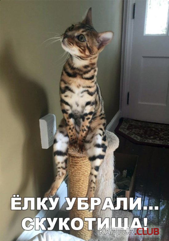 nestandartniy_yumor_04.jpg | Рено Каптур Клуб Россия | Форум KAPTUR.SU
