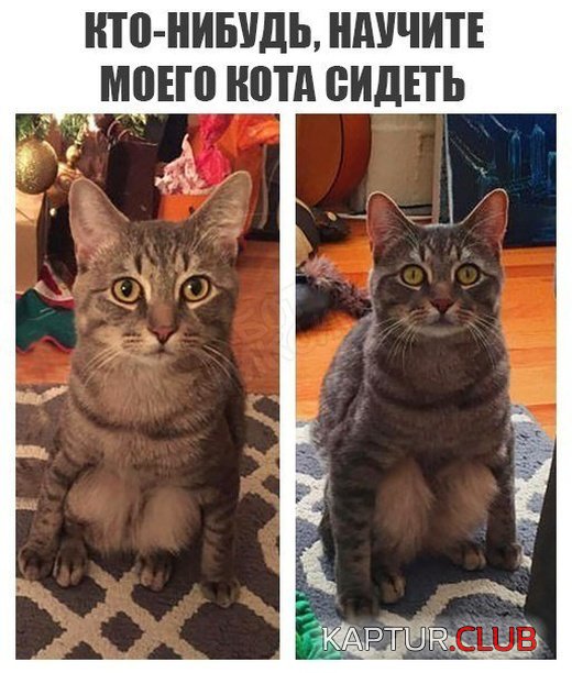 nestandartniy_yumor_17.jpg | Рено Каптур Клуб Россия | Форум KAPTUR.SU