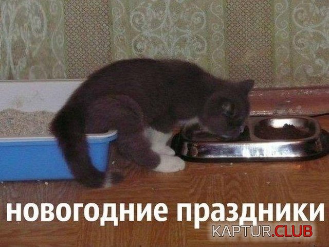 noviy_god_jumor_03.jpg | Рено Каптур Клуб Россия | Форум KAPTUR.SU