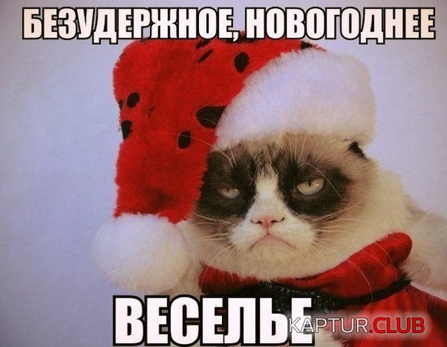noviy_god_jumor_10.jpg | Рено Каптур Клуб Россия | Форум KAPTUR.SU