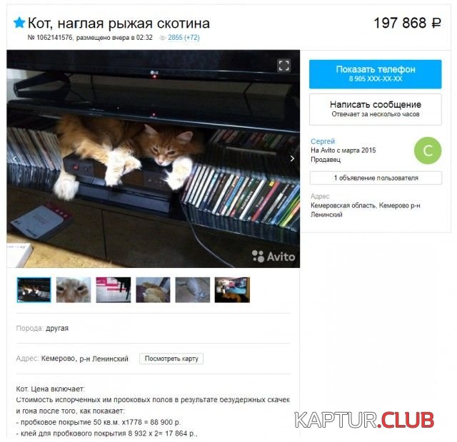 obiyavleniya_01.jpg | Рено Каптур Клуб Россия | Форум KAPTUR.SU