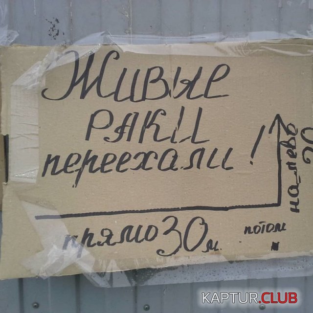 obiyavleniya_04.jpg | Рено Каптур Клуб Россия | Форум KAPTUR.SU