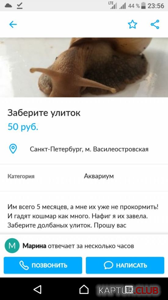 obiyavleniya_13.jpg | Рено Каптур Клуб Россия | Форум KAPTUR.SU