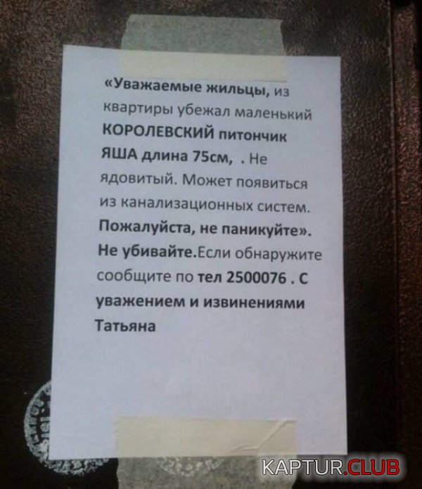 obiyavleniya_16.jpg | Рено Каптур Клуб Россия | Форум KAPTUR.SU