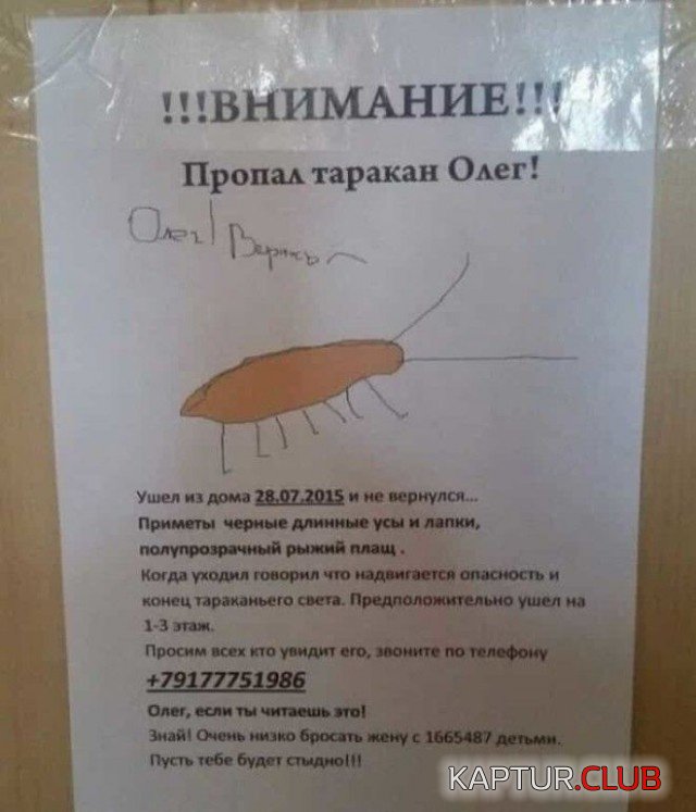 obiyavleniya_18.jpg | Рено Каптур Клуб Россия | Форум KAPTUR.SU
