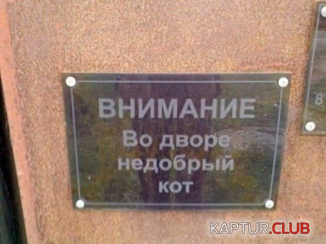 obiyavleniya_21.jpg | Рено Каптур Клуб Россия | Форум KAPTUR.SU