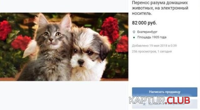 obman_00.jpg | Рено Каптур Клуб Россия | Форум KAPTUR.SU