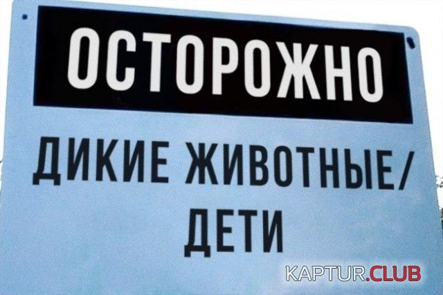 obyavleniya_04.jpg | Рено Каптур Клуб Россия | Форум KAPTUR.SU