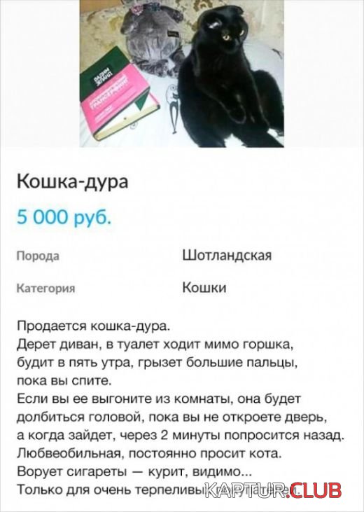 obyavleniya_05.jpg | Рено Каптур Клуб Россия | Форум KAPTUR.SU