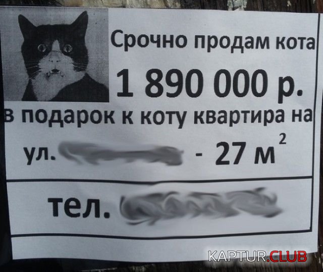 obyavleniya_22.jpg | Рено Каптур Клуб Россия | Форум KAPTUR.SU