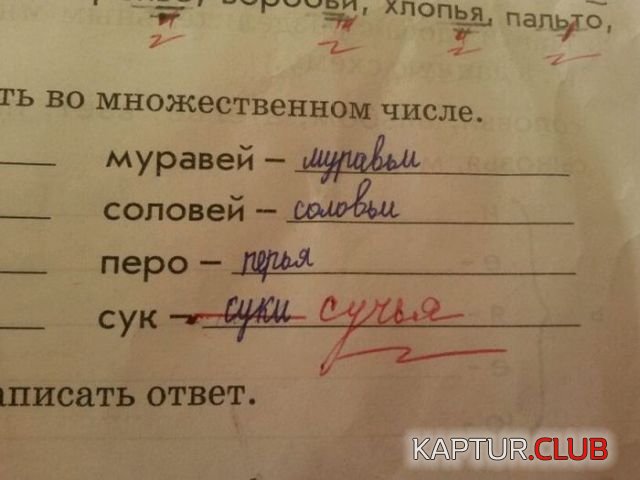 obyavleniya_24.jpg | Рено Каптур Клуб Россия | Форум KAPTUR.SU