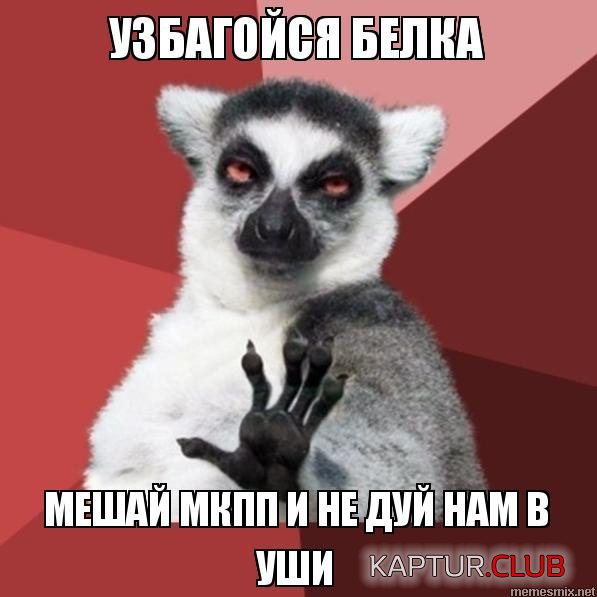 oiueld.jpg.jpg | Рено Каптур Клуб Россия | Форум KAPTUR.SU