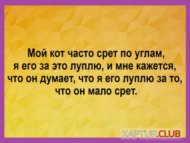 ok-saved-image-B4EDDF63945B002AB49E71720C7ED357.jpg | Рено Каптур Клуб Россия | Форум KAPTUR.SU