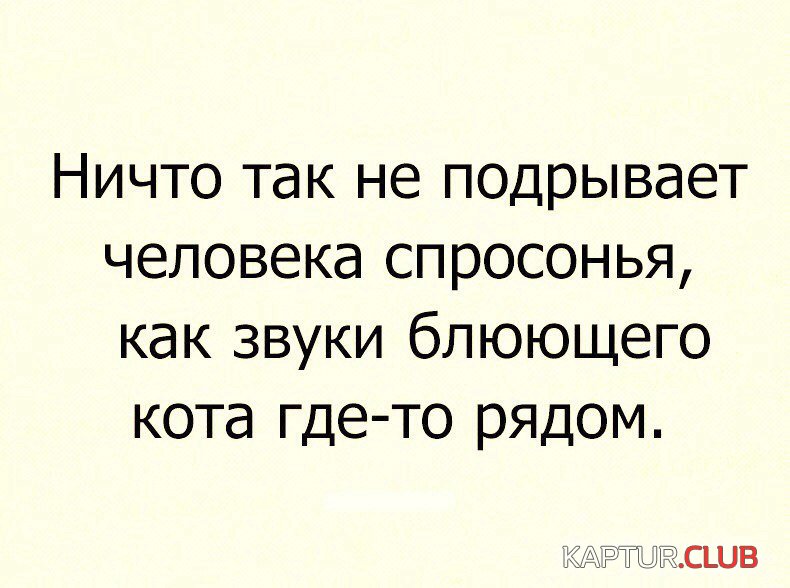 ONzypF8v14M.jpg | Рено Каптур Клуб Россия | Форум KAPTUR.SU