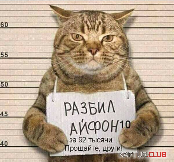 OvRsPeVyE6A.jpg | Рено Каптур Клуб Россия | Форум KAPTUR.SU