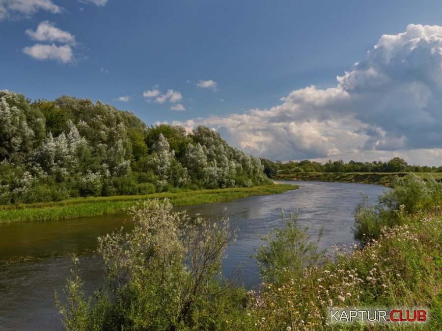 P8180030~01.jpg | Рено Каптур Клуб Россия | Форум KAPTUR.SU
