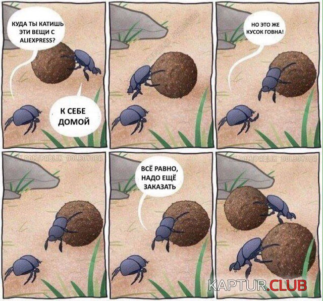 phDnasx8cgc.jpg | Рено Каптур Клуб Россия | Форум KAPTUR.SU
