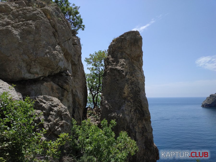 PIC_20190604_120920892.jpeg | Рено Каптур Клуб Россия | Форум KAPTUR.SU